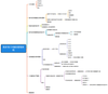 UDI-Produktionscodierungsmanagementsystem